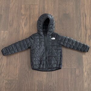 The North Face Black Quilted Puffer Jacket with Hood